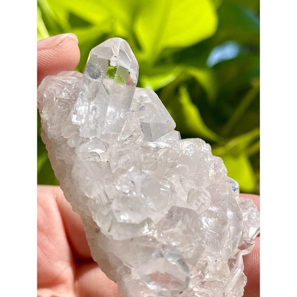 High Grade Brazilian Clear Quartz Cluster - Picture 5 of 11